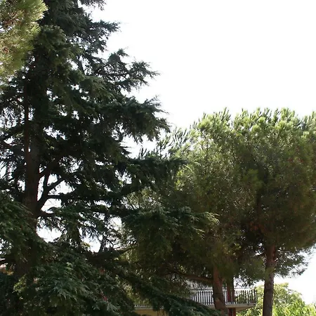 Etna Country Bed & Breakfast *
